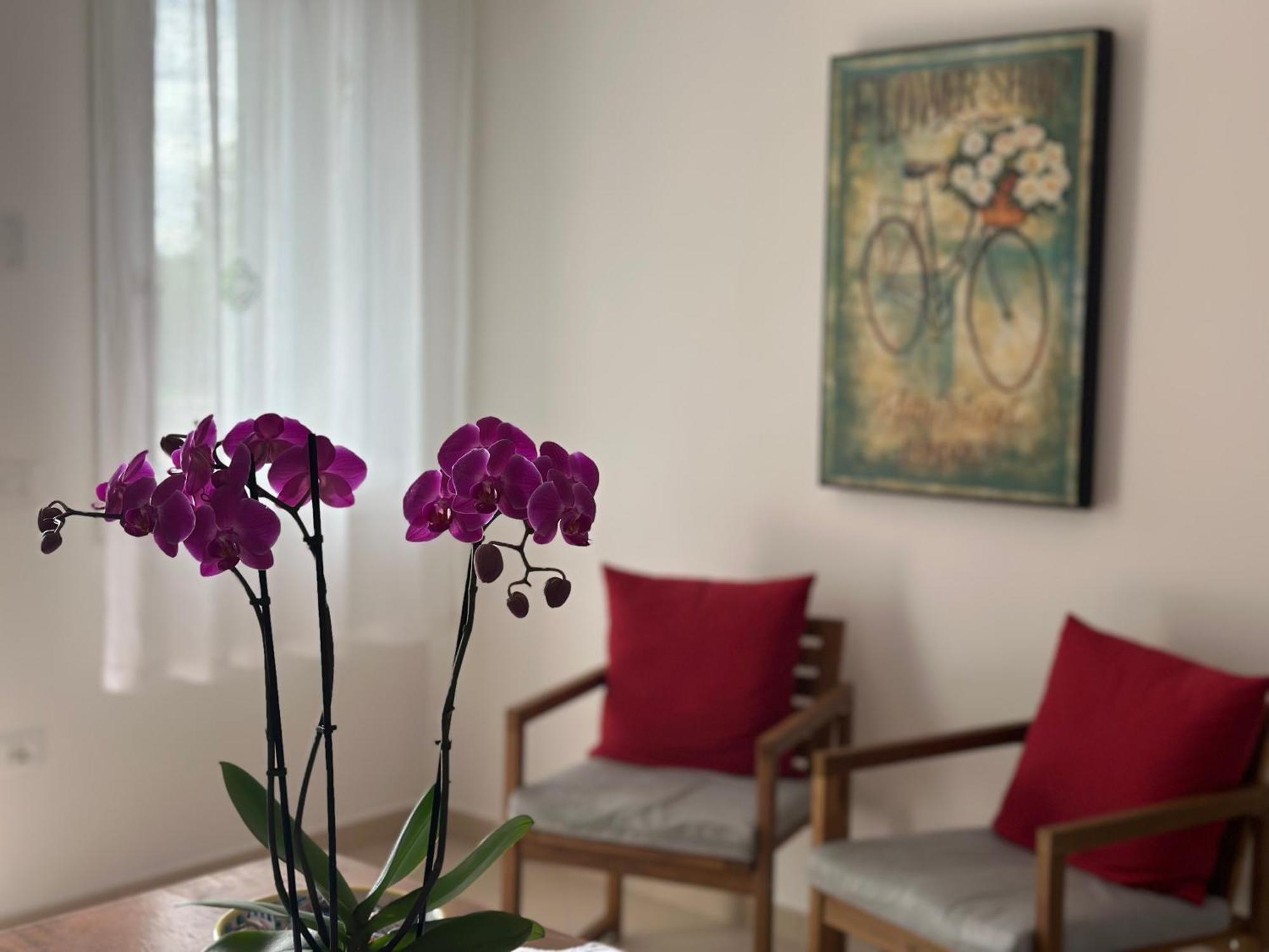 Corte Monfardina Adria Kültér fotó